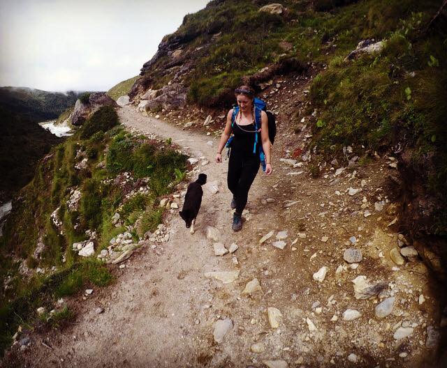 14355550_1233062283402455_7894296629552871051_n