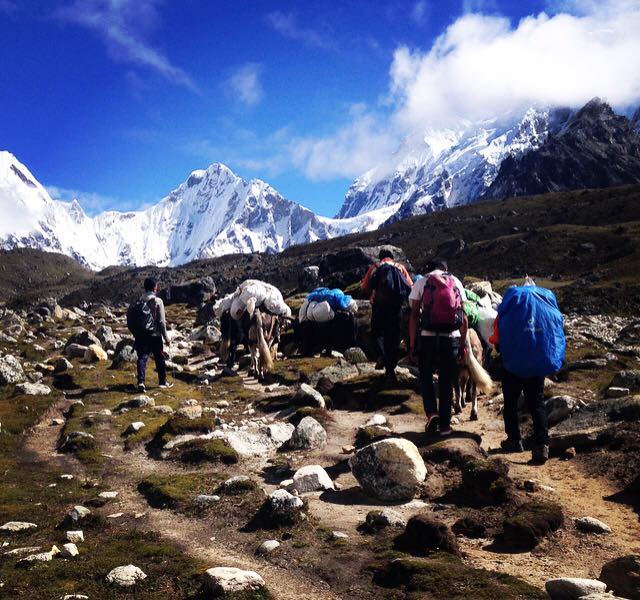 14355732_1232927400082610_5235140943737595310_n